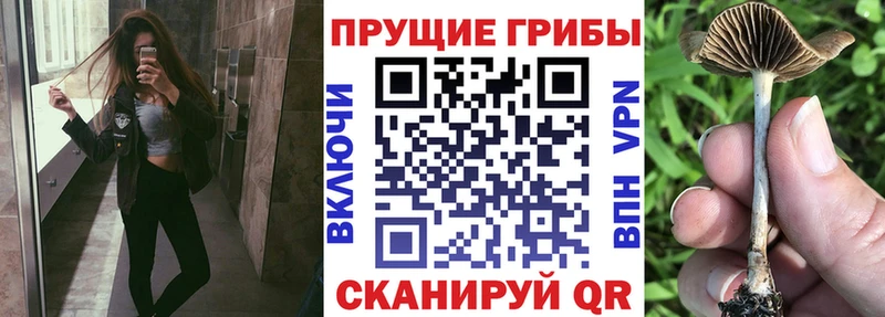 Псилоцибиновые грибы мухоморы Поворино